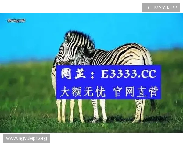 探索ag真人网页版最新优惠活动，丰富你的线上娱乐体验