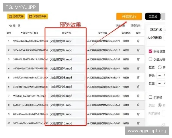 最新方法帮助玩家轻松查询AG视讯公司的官方信息与信誉评级